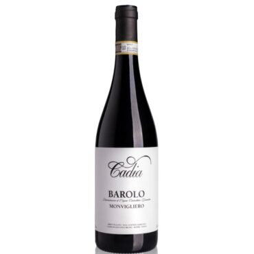 italiaanse rode wijn - barolo monvigliero cadia piemonte