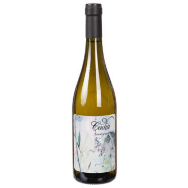 italiaanse witte wijn - sauvignon blanc - abrigat - cadia - piemonte